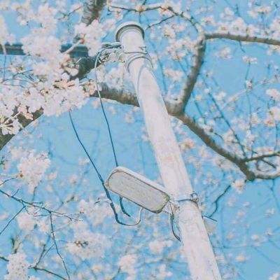 全民屠龙测试服下载